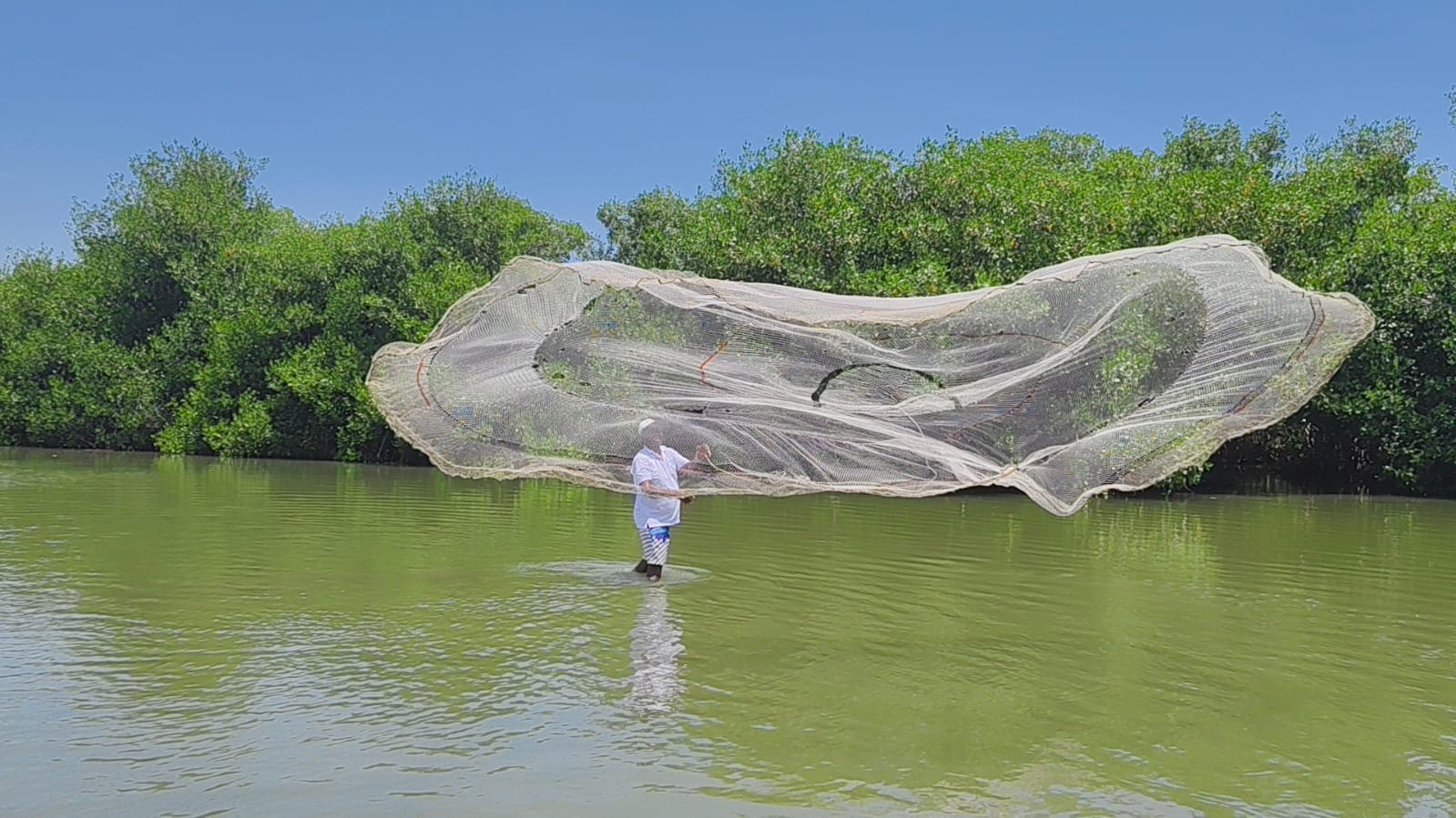 Sector Ambiente tendrá $1,38 billones en 2027 para proteger agua, biodiversidad y comunidades ¿Si alcanzará?