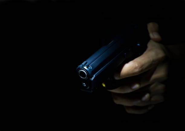 Ya que levantaron la prohibición, ¿no se le antoja comprar un arma? Le contamos precios y modelos comunes