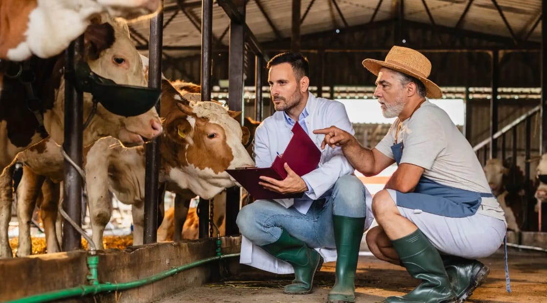 Conferencia Internacional en Ciencia y Producción Animal y Biotecnología en Barrancabermeja