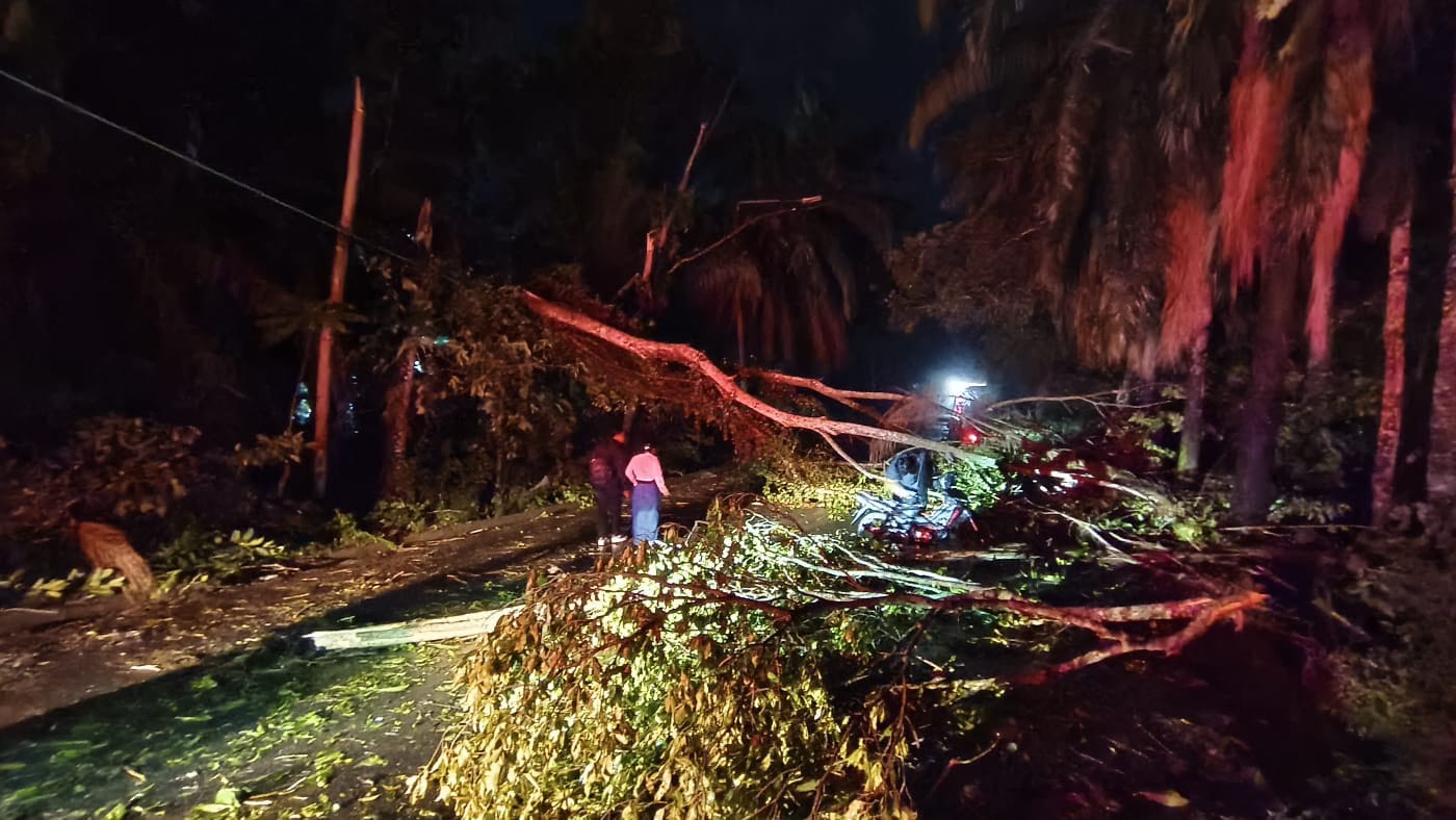 Energía eléctrica retorna por fases en zonas dañadas por tormenta del jueves