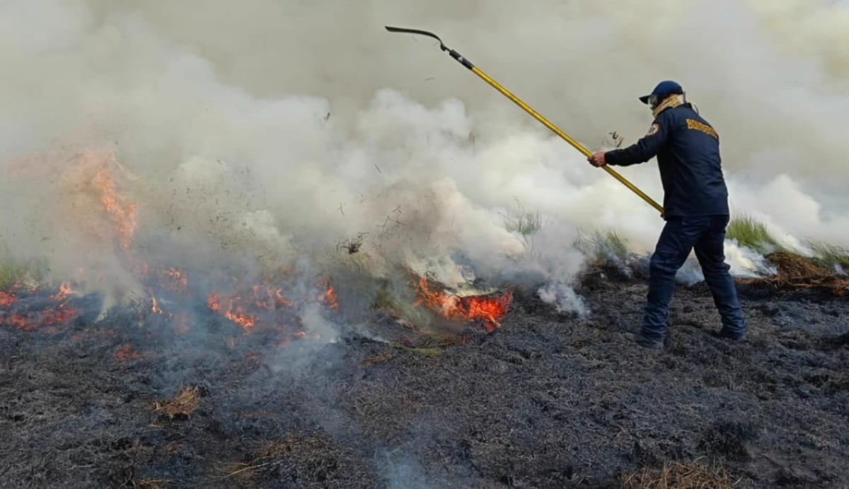 Puerto Parra se suma a municipios afectados por incendios forestales en Santander