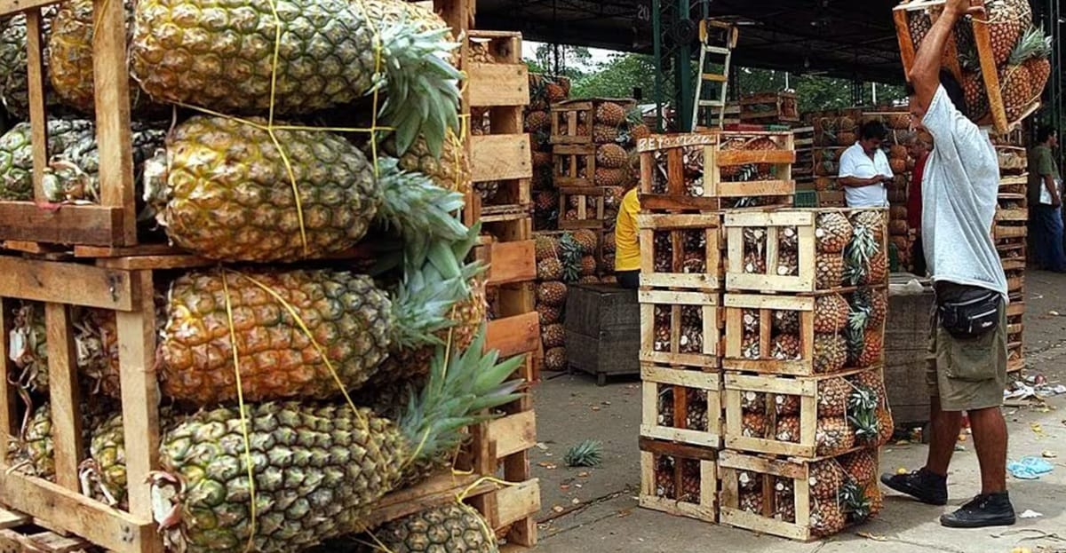 Lebrija invita a todo el mundo a chupar piña durante cuatro días en octubre