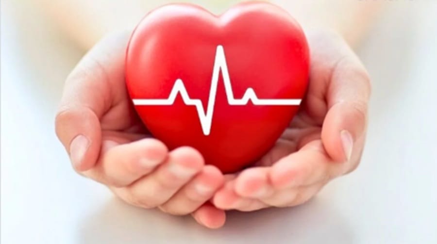 El corazón mata 6,5 millones de personas cada año en el mundo