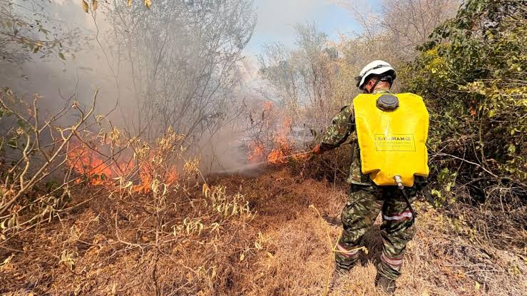 Incendios forestales en Santander ya afectan más de 300 hectáreas en septiembre
