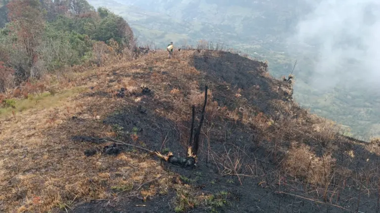 ¡Santurbán está en llamas! Incendio completa varios días activo en zona rural de Tona