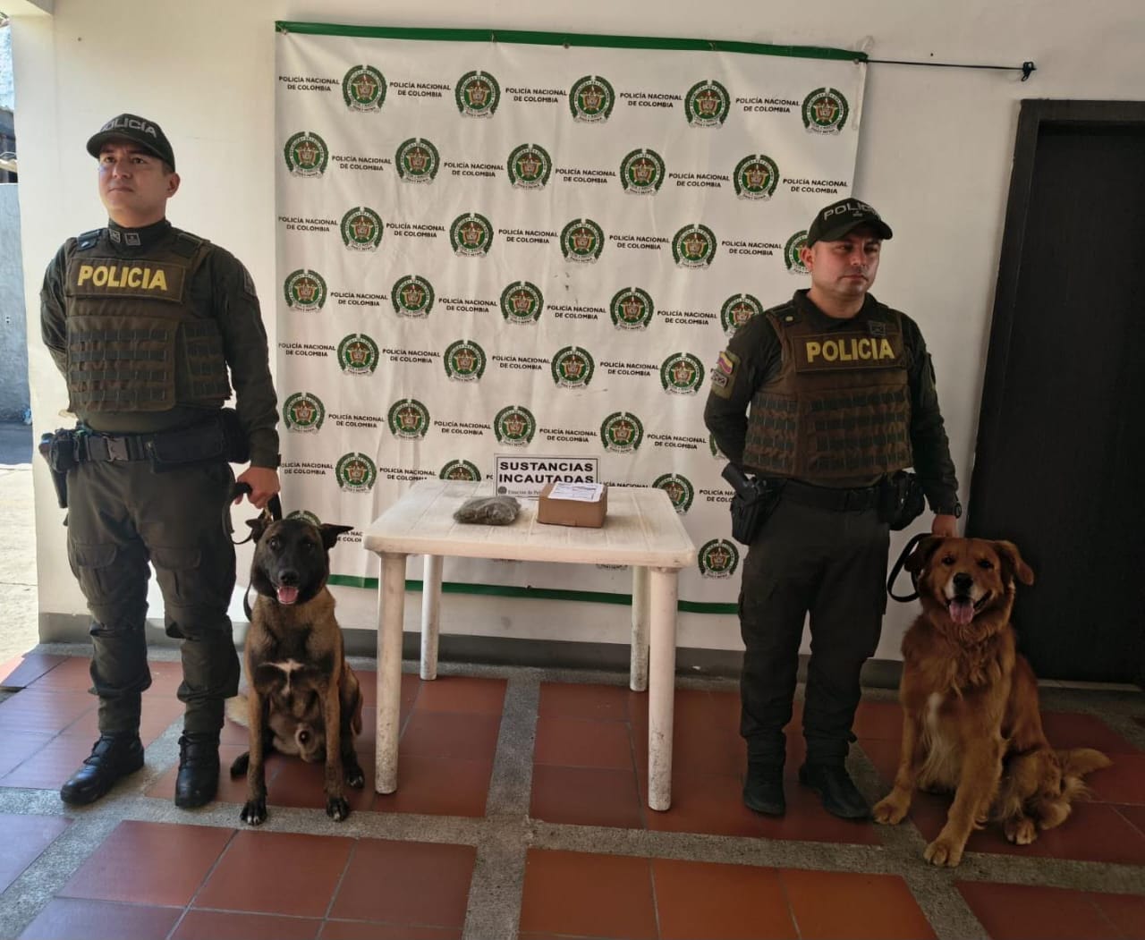 El olfato de ‘Yordi’ delató una encomienda con 250 dosis de marihuana en Socorro