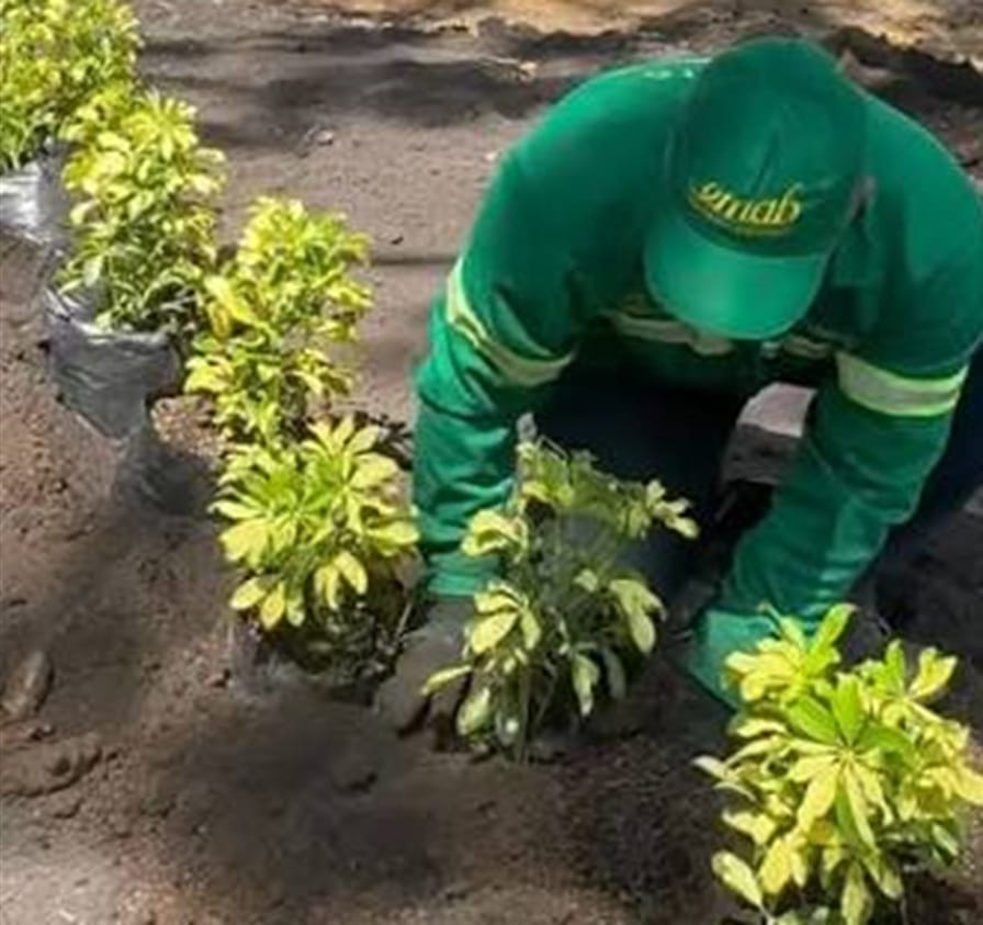 BucaraVerde le devuelve la vida a los parques de ‘La Ciudad Bonita’