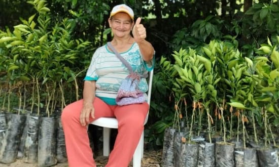 Abren convocatorios para que campesinos accedan a fertilizantes imagen de la publicación