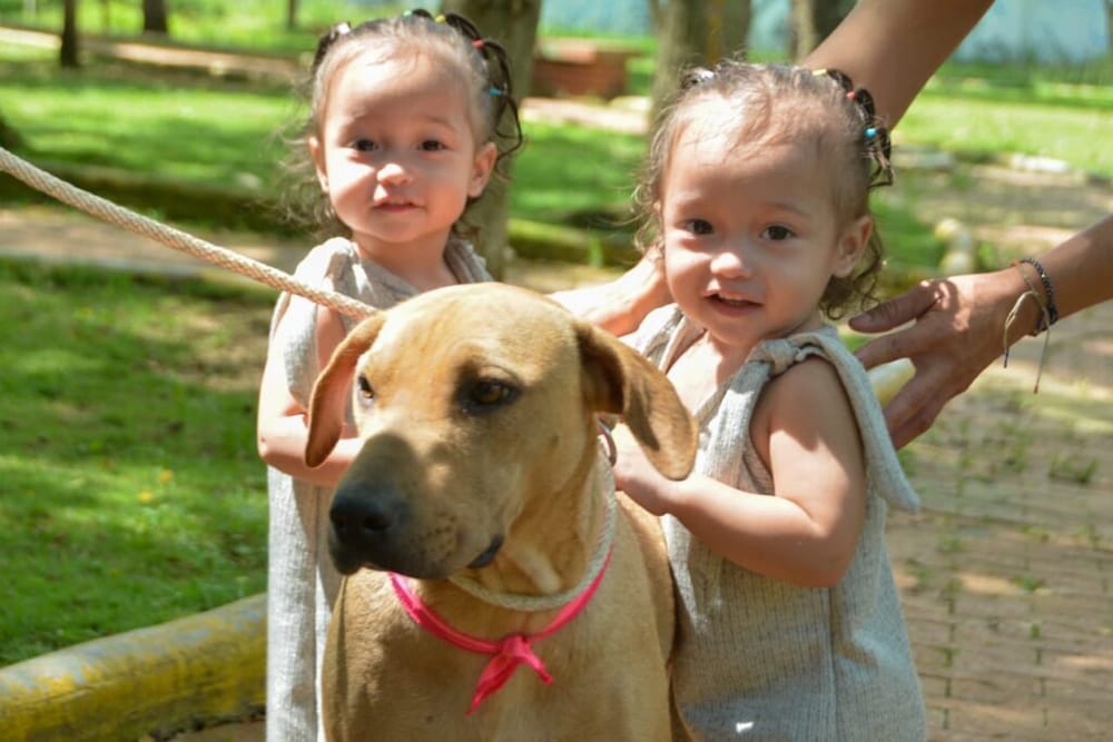 Vuelven las jornadas de adopción en la ciudad imagen de la publicación