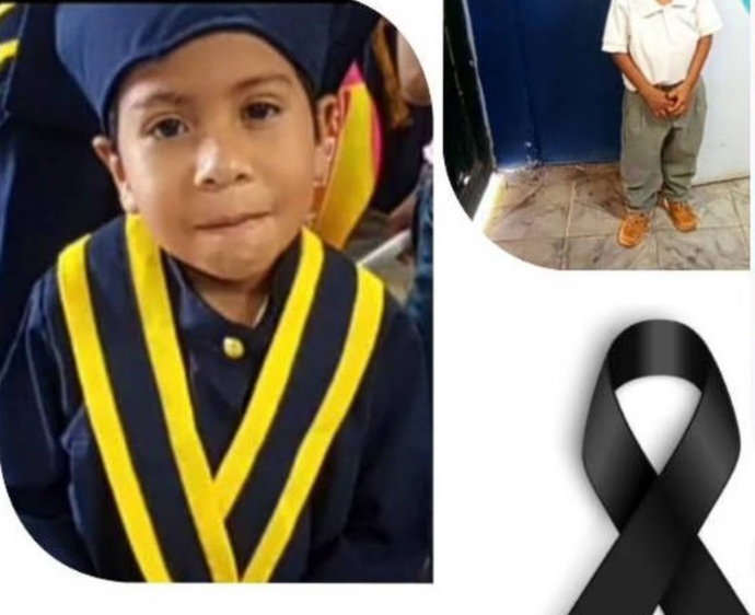 Niños golpearon a otro menor de 6 años y le causaron la muerte imagen de la publicación