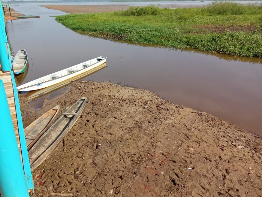 Ambientalistas preocupados por muertes de manatíes y bajo nivel del agua, exigen garantías a Isagen imagen de la publicación
