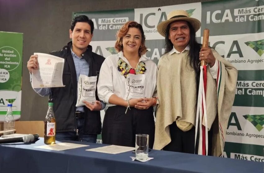 ICA avala primer fertilizante en Colombia a base de coca, llamado Ancestral imagen de la publicación