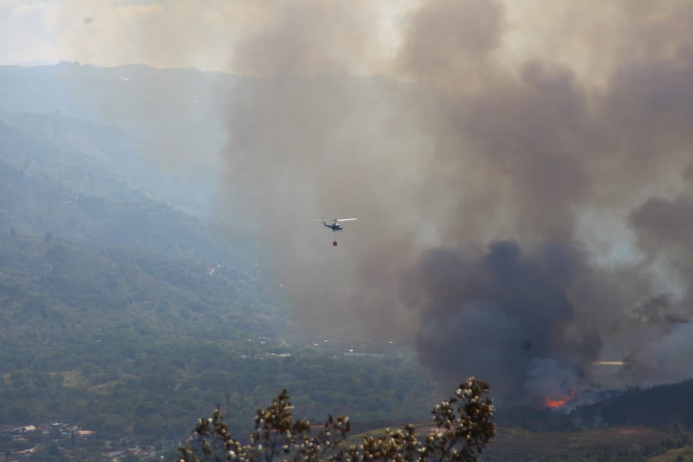 Frente a tragedia ambiental en Santander, Gobernador convoca a alcaldes para proteger fauna imagen de la publicación
