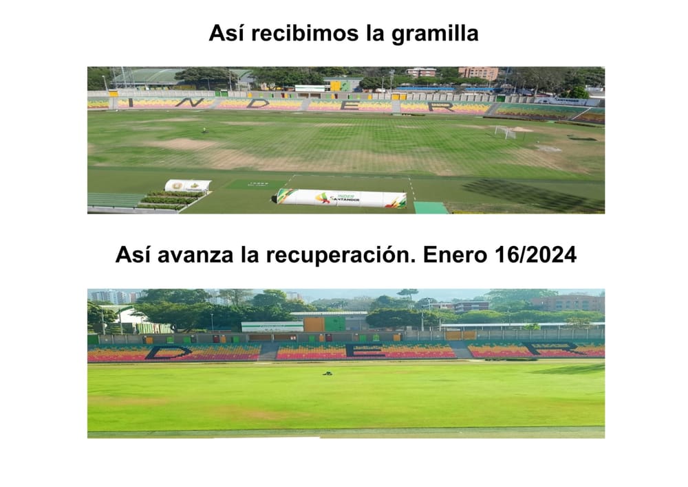 Indersantander anuncia progresos en la recuperación de la gramilla del Estadio Alfonso López imagen de la publicación