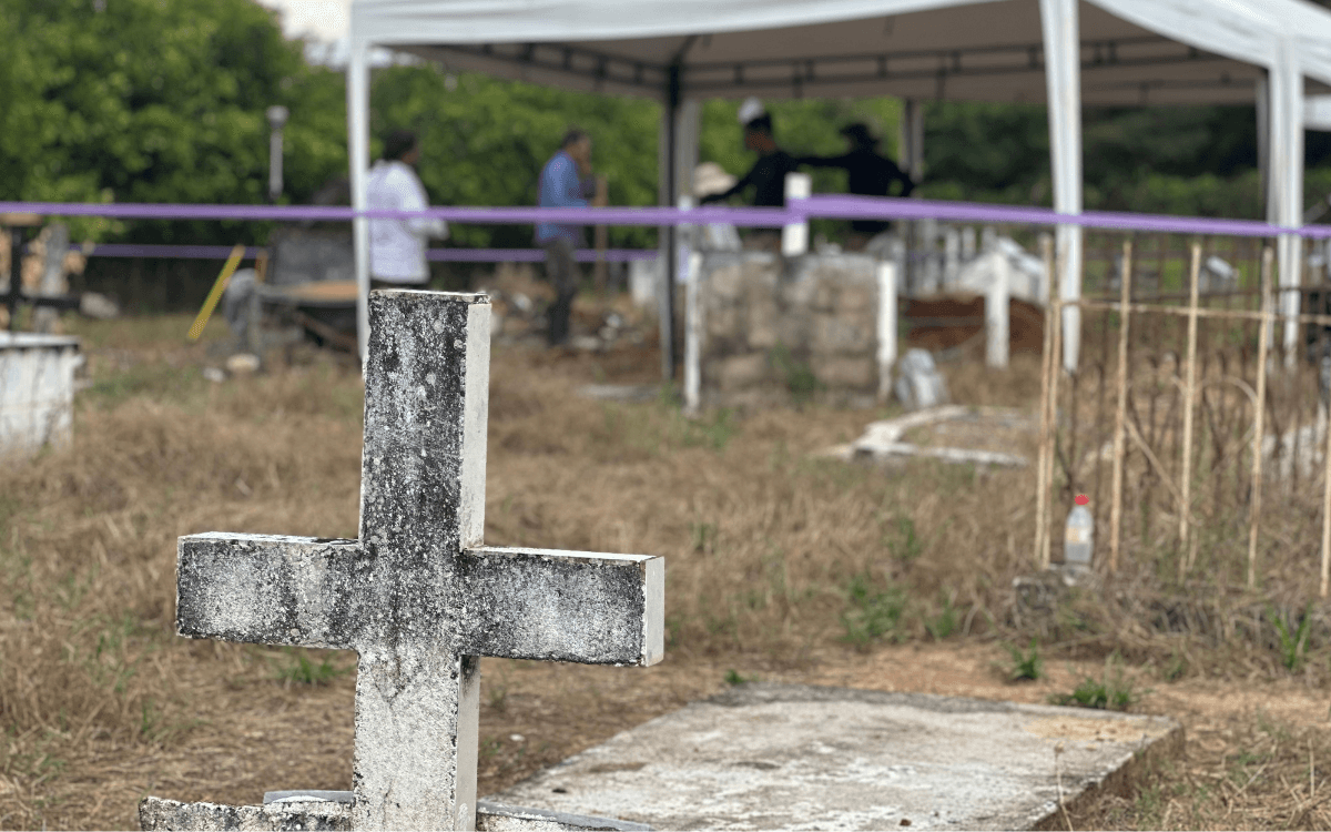 Unidad de Búsqueda y excombatientes de las Farc hallaron 16 cuerpos desaparecidos en Guaviare imagen de la publicación