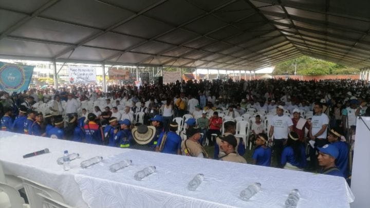 Cocaleros del Catatumbo entrarán en paro el 15 de marzo tras incumplimiento del Gobierno imagen de la publicación