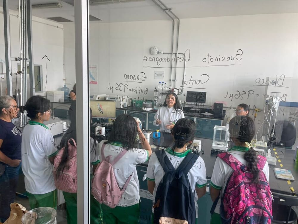 Estudiantes de colegios públicos y rurales de Piedecuesta disfrutaron de una jornada científica en la UIS imagen de la publicación
