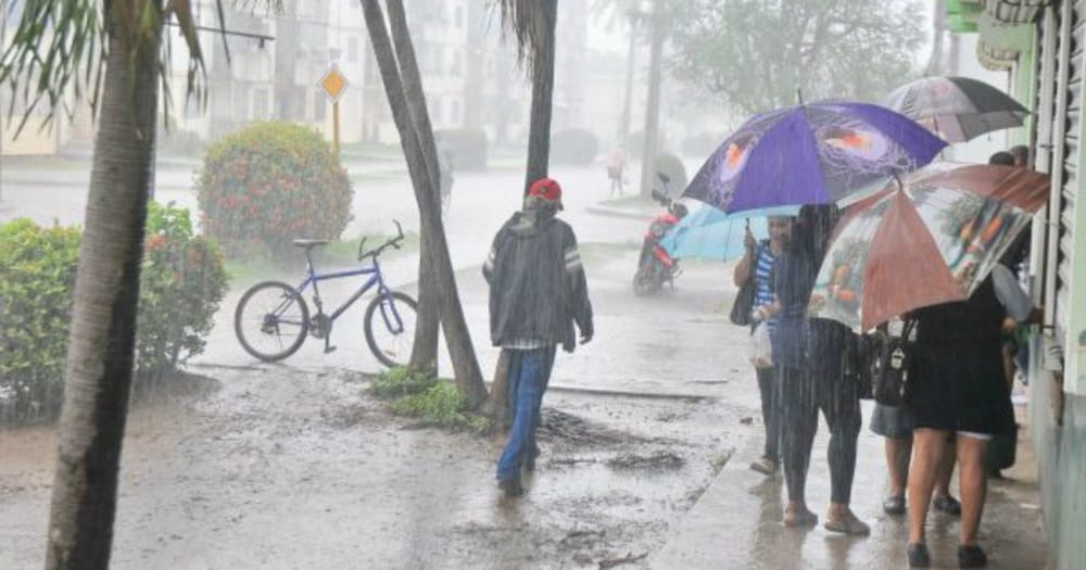 El enigma de las lluvias en pleno Fenómeno de El Niño imagen de la publicación