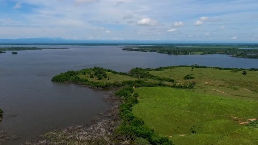 Agencia Nacional de Tierras alerta sobre invasiones fraudulentas en Sabana de Torres imagen de la publicación