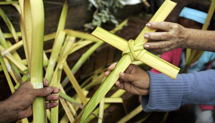 CDMB reitera prohibición de comercializar especies vegetales en veda para Semana Santa imagen de la publicación