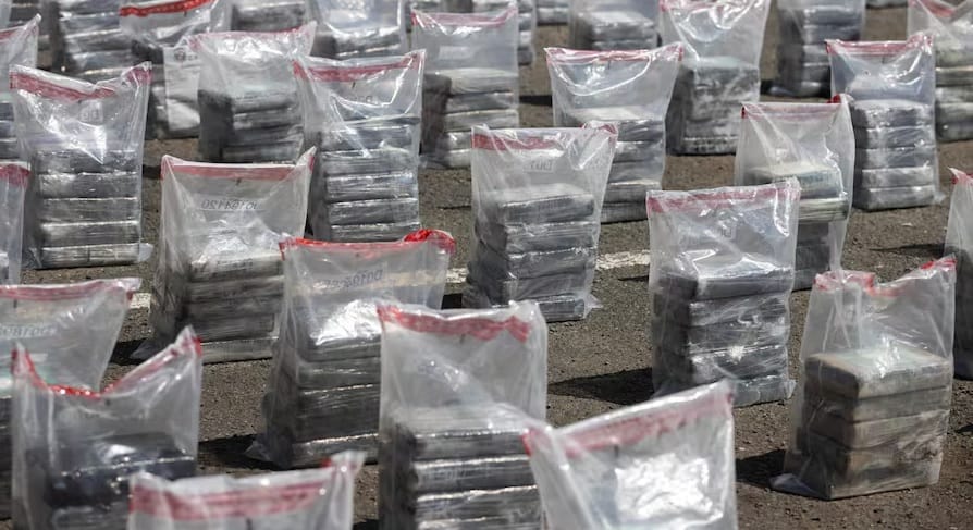 Decomisan 1,7 toneladas de cocaína ocultas en cargamento de aguacates imagen de la publicación