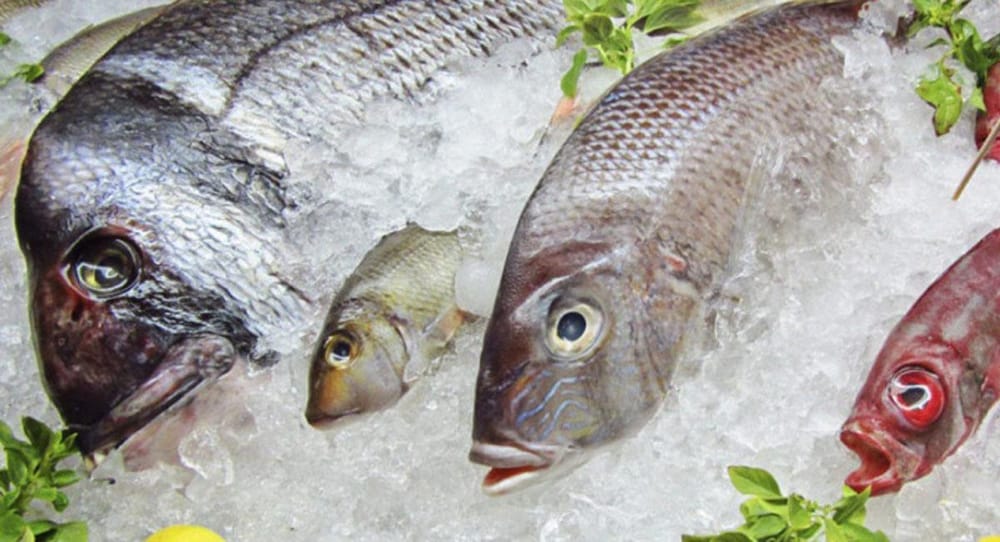 Colombianos consumirán 47,000 toneladas de pescado en Semana Santa imagen de la publicación