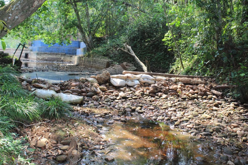 Represa de Sabana de Torres en estado crítico imagen de la publicación
