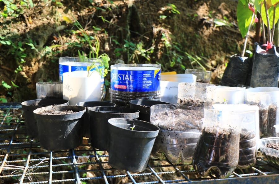 Estudiantes de la UDES cultivan huerta para Hogares CREA imagen de la publicación