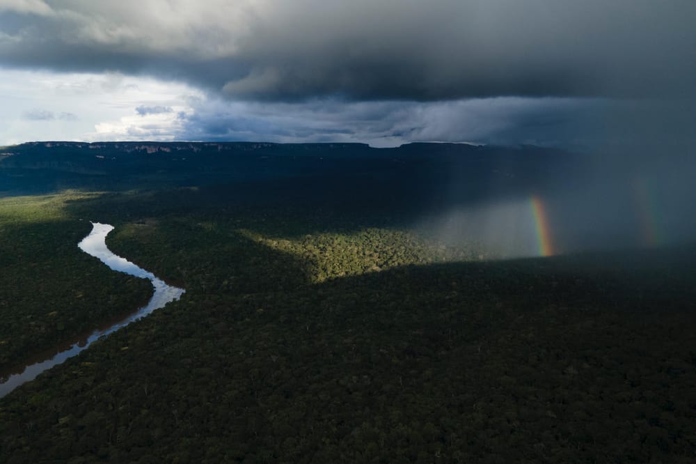¡Histórico! Serranía del Chiribiquete garantiza financiamiento perpetuo para su conservación imagen de la publicación