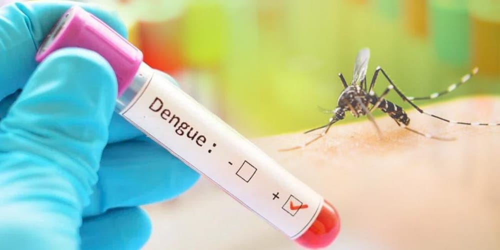 Alerta roja en Santander: Dengue cobra 19 vidas y supera los 8,800 casos imagen de la publicación