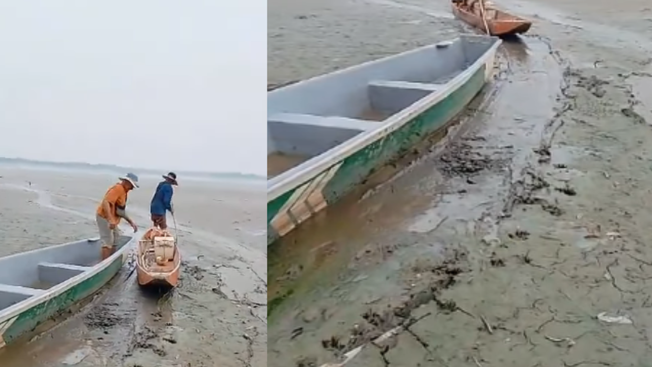 Ciénaga de El Llanito tocó fondo: Pescadores y animales los más afectados imagen de la publicación