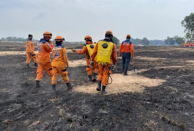 Incendio forestal consumió bosques y cultivos en Bajo Rionegro imagen de la publicación