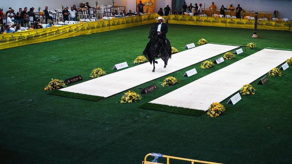 Éxito rotundo en la XXXIII Exposición Equina Grado B en Floridablanca imagen de la publicación