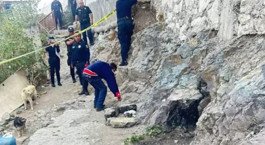 Perro encontró cuerpo desmembrado y lo llevó a su casa imagen de la publicación