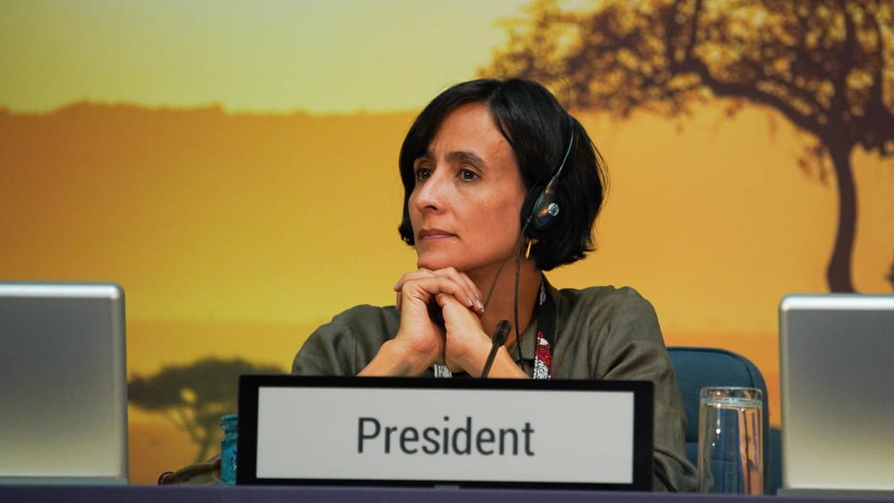 Colombia desvela sus planes para la COP16 durante el Día de la Biodiversidad imagen de la publicación