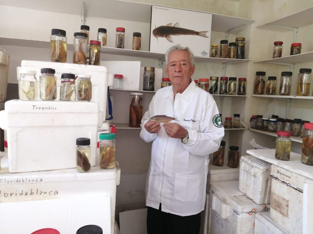 Investigador santandereano donará colección ictiológica a la UIS imagen de la publicación
