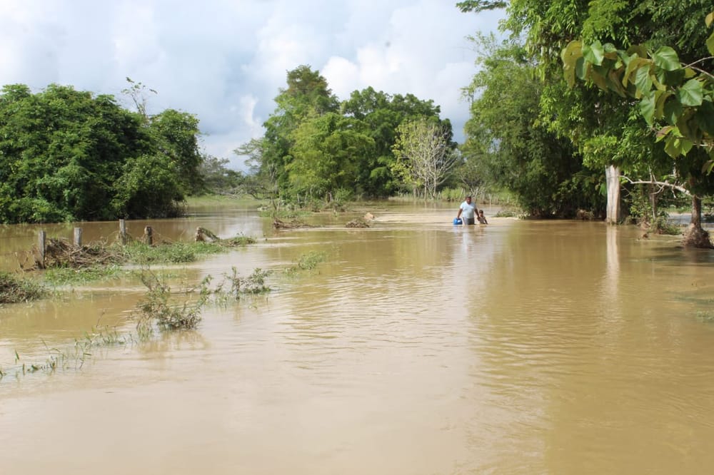 Inundaciones ponen en peligro a habitantes del Bajo Rionegro imagen de la publicación