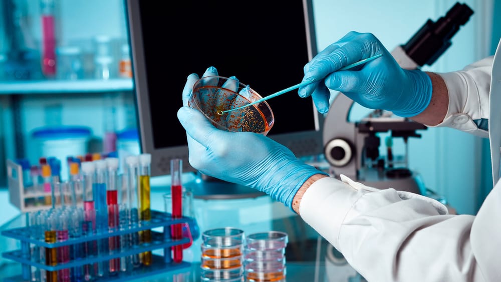 66 años de excelencia: Microbiología y Bioanálisis UIS conmemora su aniversario imagen de la publicación
