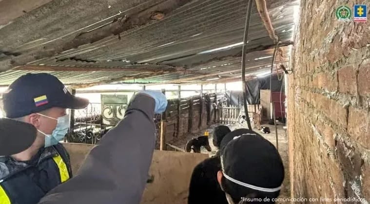 Desarticulan red de matadero clandestino que vendía carne enferma imagen de la publicación