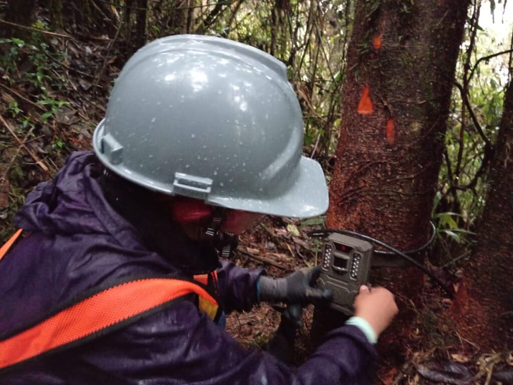 UIS Málaga y Cartón de Colombia investigan biodiversidad en bosques de Caldas imagen de la publicación