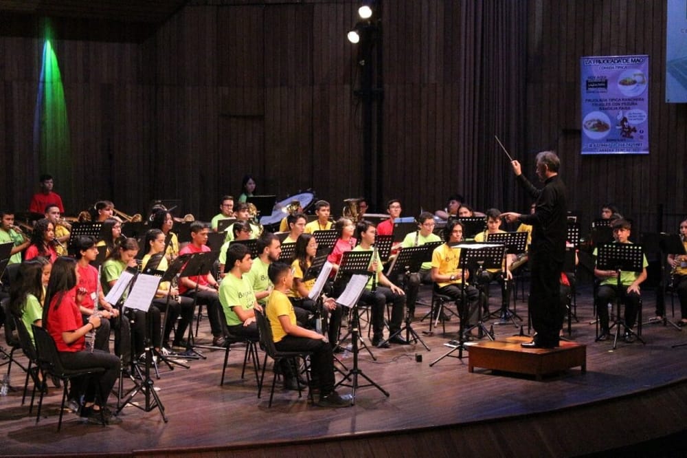 Este domingo disfrute de la Banda Sinfónica Juvenil ‘Suena Santander’ en el Auditorio Luis A. Calvo imagen de la publicación