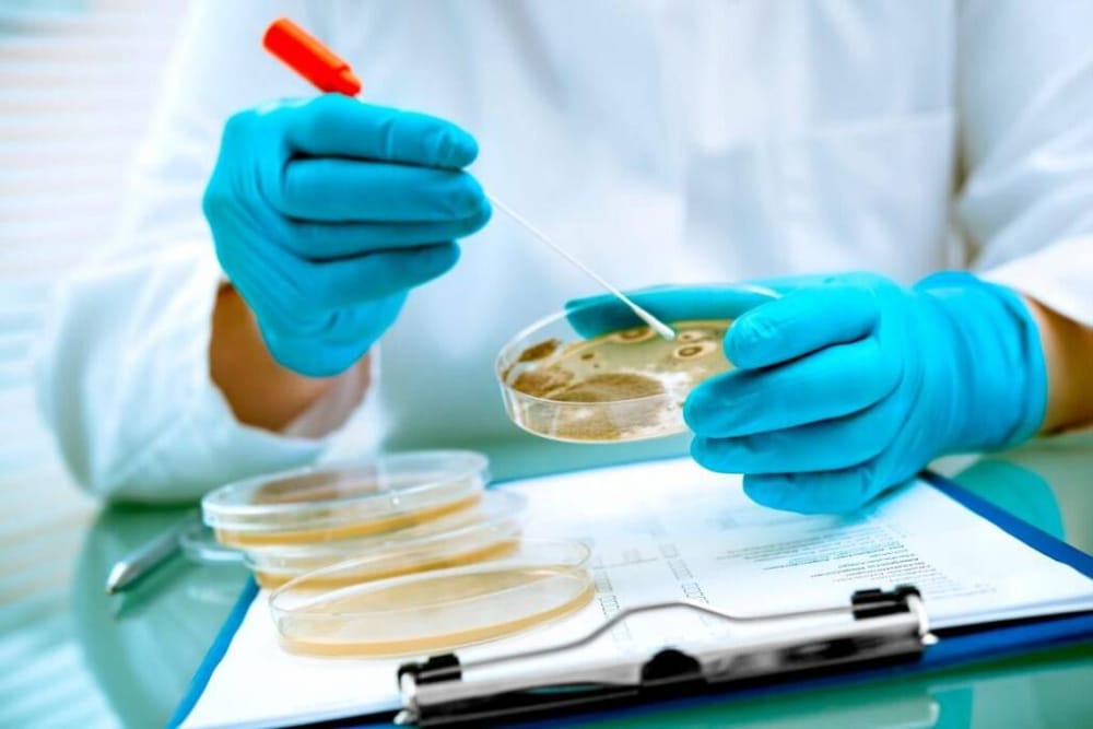 UDES destaca internacionalmente en educación de Laboratorio Clínico y Bacteriología imagen de la publicación