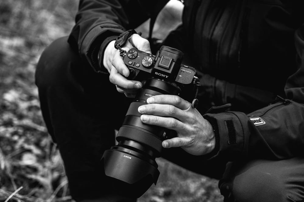 'Raíces Vivas': Concurso de fotografía para visibilizar la migración imagen de la publicación