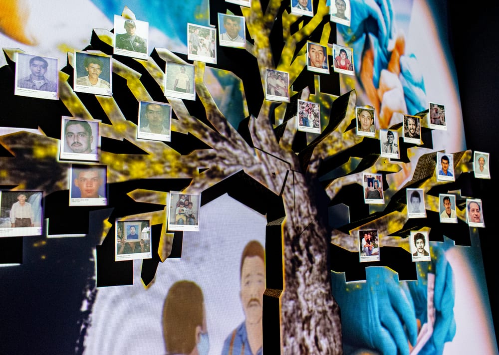 UBPD en Ulibro 2024: Un espacio para la memoria y la reflexión imagen de la publicación