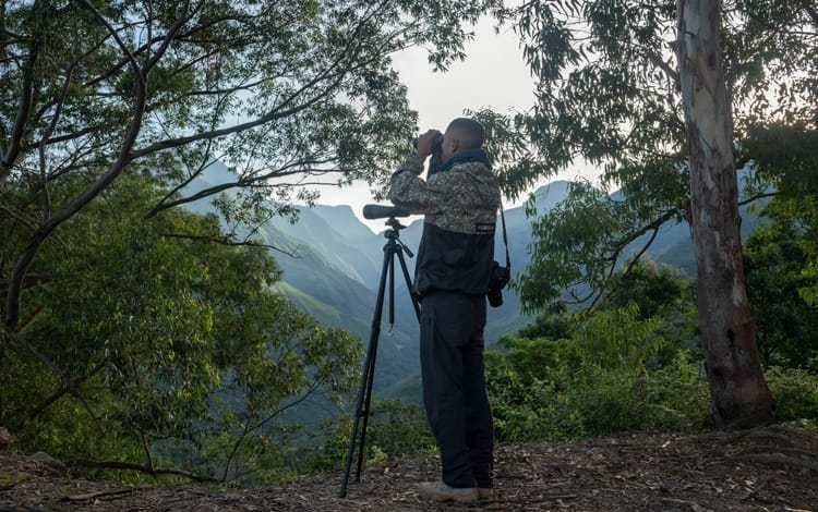 Smartfilms abre convocatoria para cortos sobre "Paz con la Naturaleza" imagen de la publicación