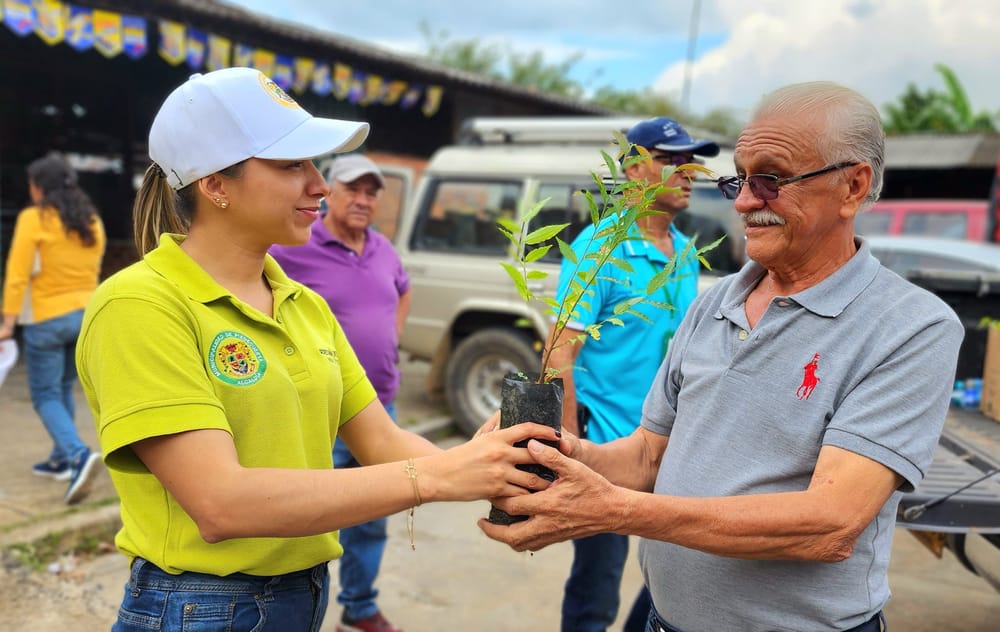 Fortalecimiento del campo: Piedecuesta apuesta por el cacao imagen de la publicación