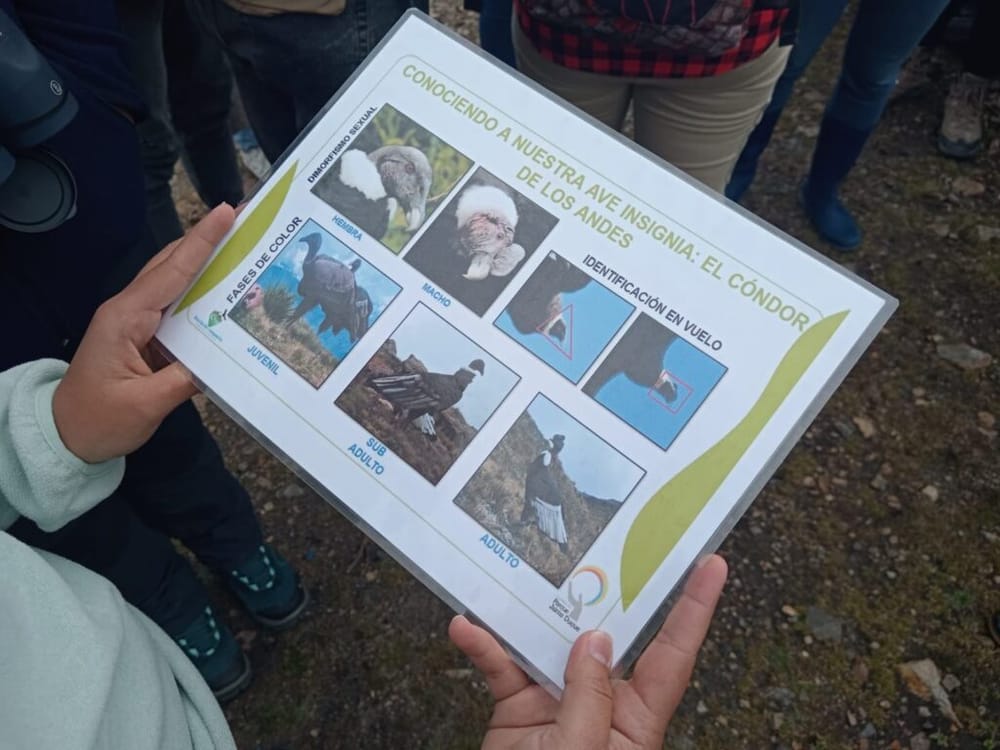 Semillero 'Los Cloroplastos' realizó investigación en la reserva natural 'La Piedra del Cóndor' imagen de la publicación