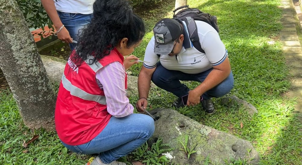‘Tropa Antidengue’: Nueva estrategia de Floridablanca para combatir el brote de dengue imagen de la publicación