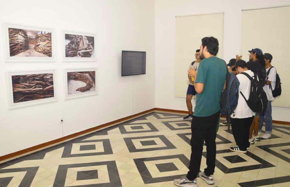 "Vestigios": Arte y memoria del conflicto armado en Colombia imagen de la publicación