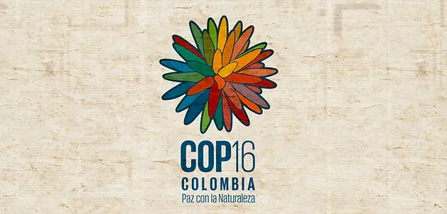 COP16 de Biodiversidad: 10 jefes de estado y 14.500 participantes confirmados imagen de la publicación
